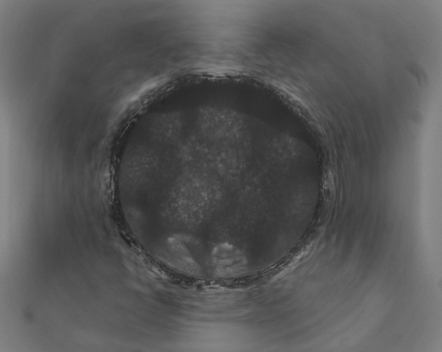 X0000111421398200908101046