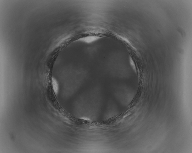 X0000111421399200908101046