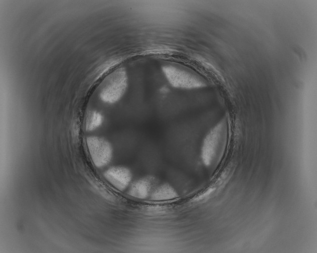X0000111421401200908101046