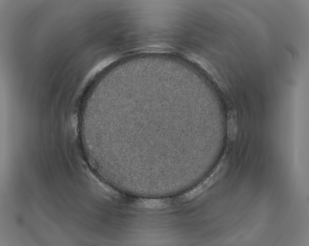 X0000111421402200908101046