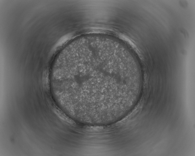 X0000111421403200908101046