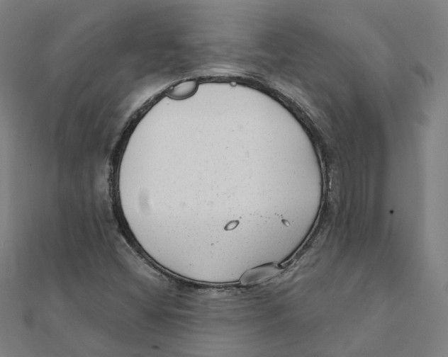X0000111421404200908101046