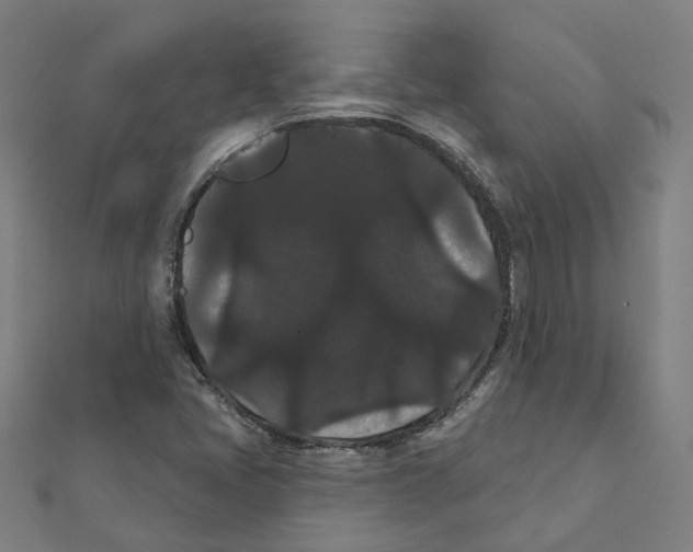 X0000111421405200908101046
