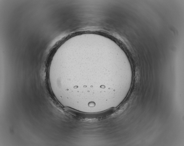 X0000111421406200908101046