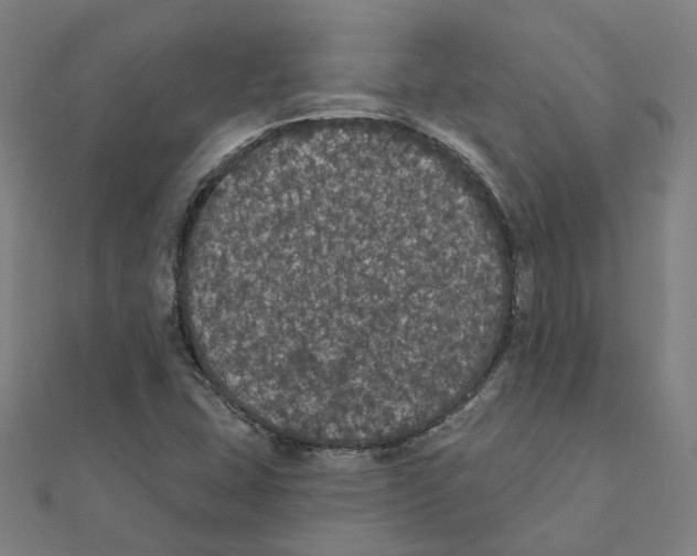 X0000111421407200908101046