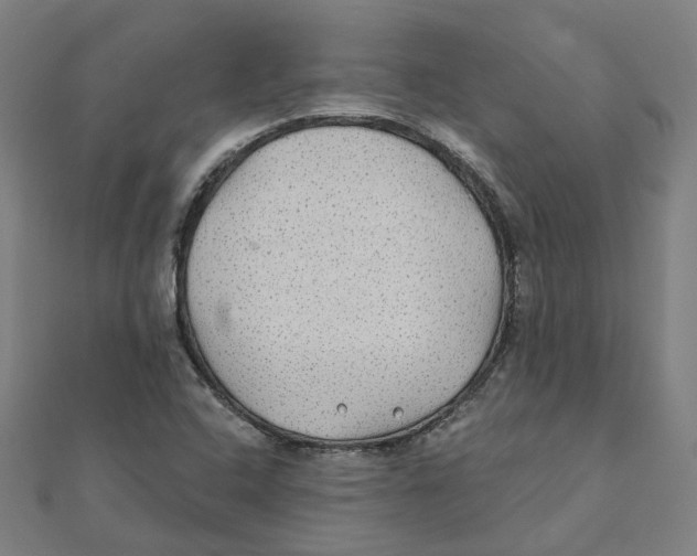 X0000111421408200908101046