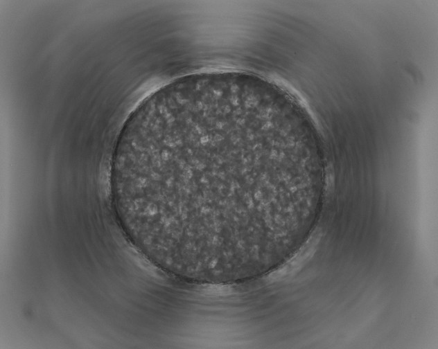 X0000111421409200908101046