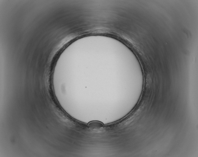 X0000111421410200908101046
