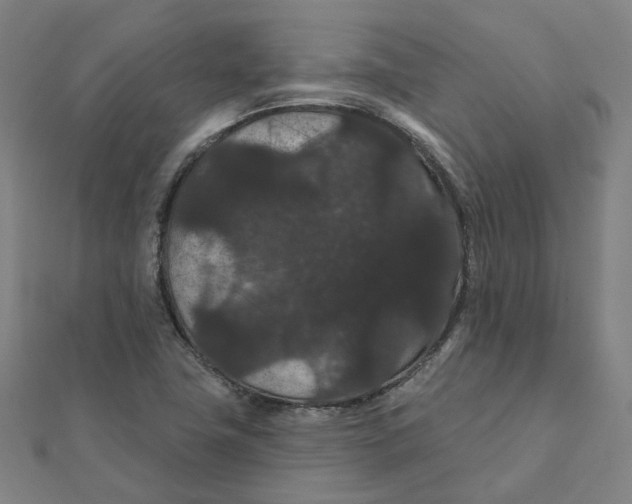 X0000111421411200908101046
