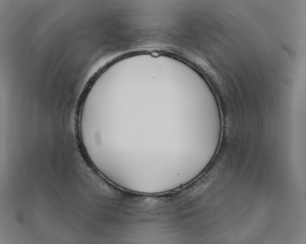 X0000111421412200908101046