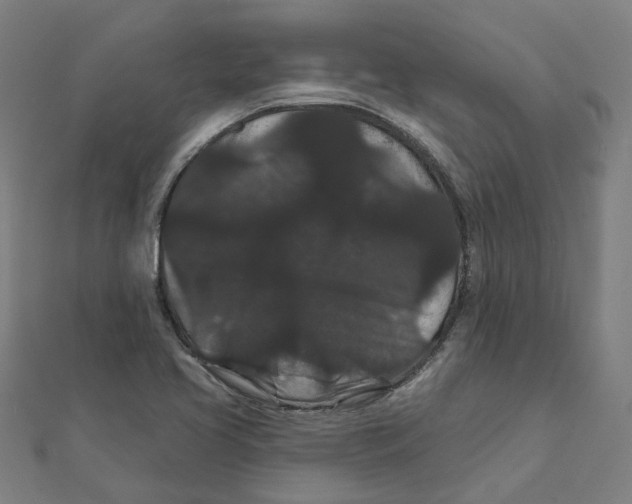 X0000111421413200908101046