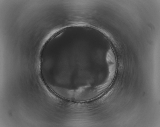 X0000111421414200908101046