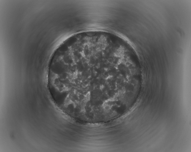 X0000111421415200908101046