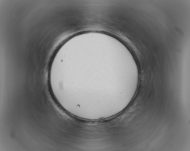 X0000111421416200908101046