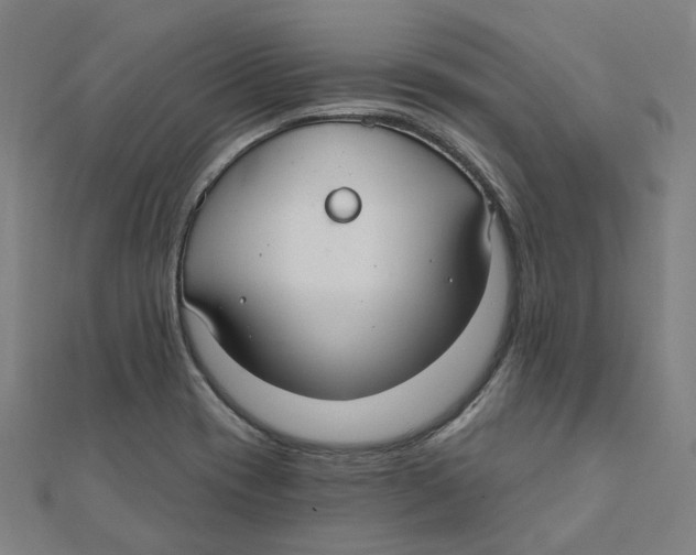 X0000111421417200908101046