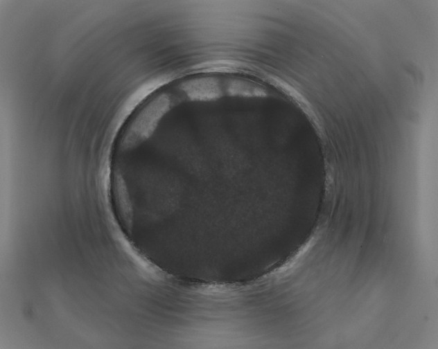 X0000111421418200908101046