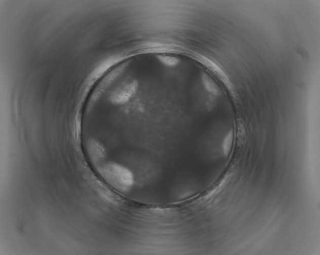 X0000111421419200908101046