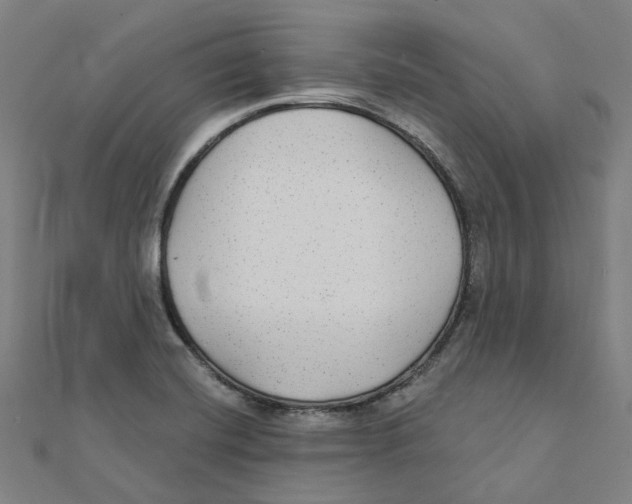 X0000111421420200908101046