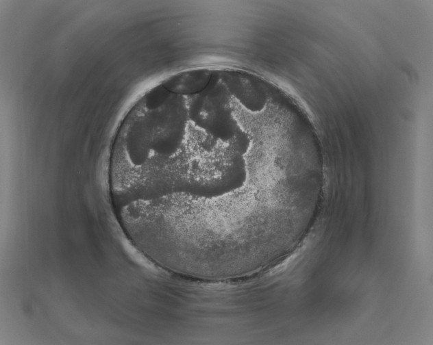 X0000111421421200908101046