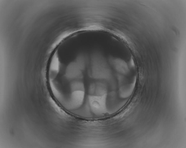 X0000111421422200908101046