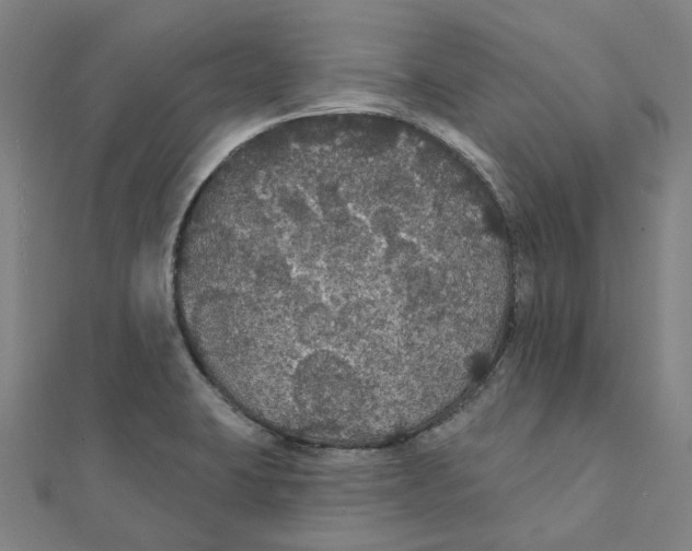 X0000111421423200908101046