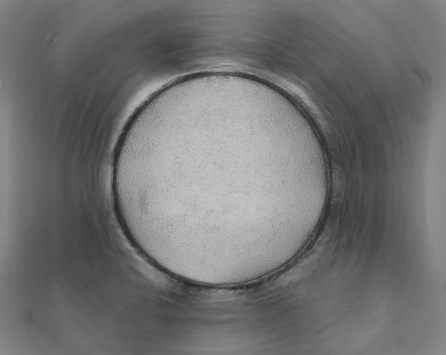 X0000111421424200908101046