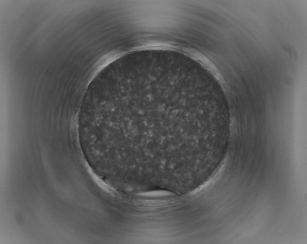 X0000111421425200908101046