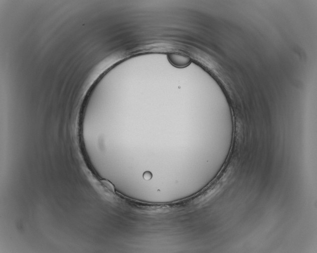 X0000111421426200908101046