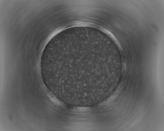 X0000111421427200908101046