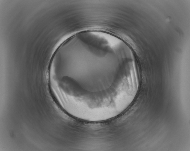 X0000111421428200908101046