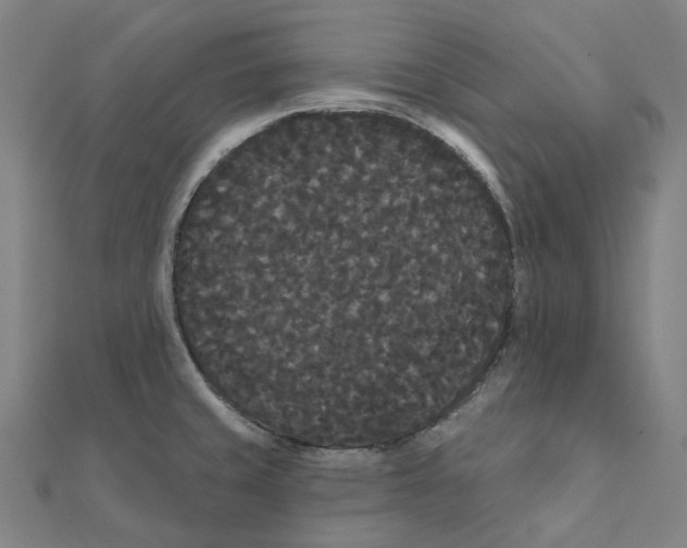 X0000111421429200908101046