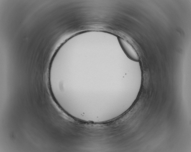 X0000111421432200908101046