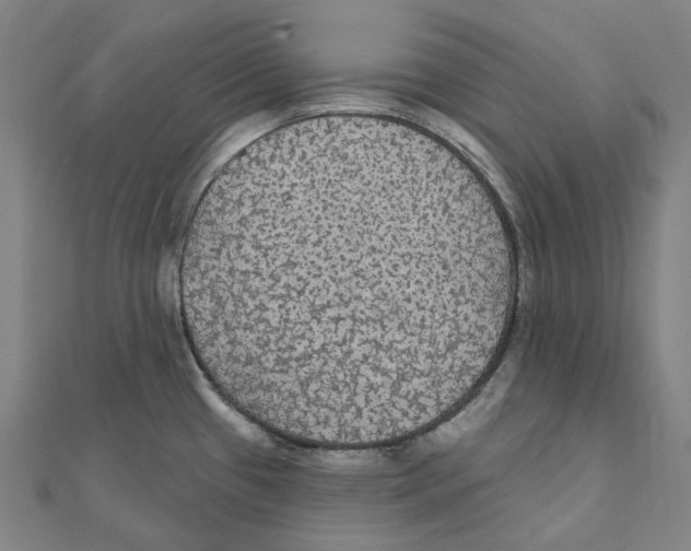 X0000111421433200908101046