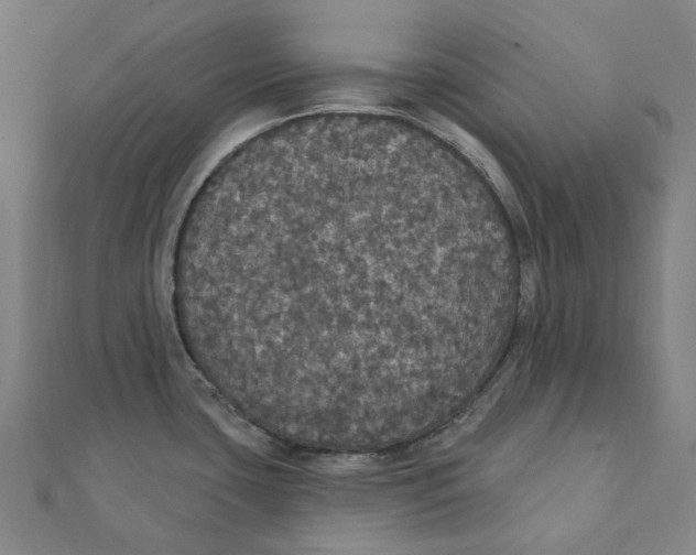 X0000111421435200908101046