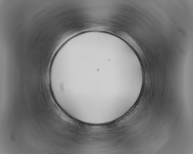 X0000111421436200908101046