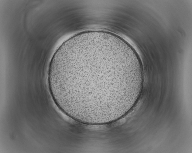 X0000111421437200908101046