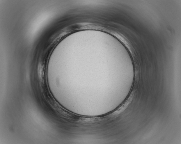 X0000111421438200908101047