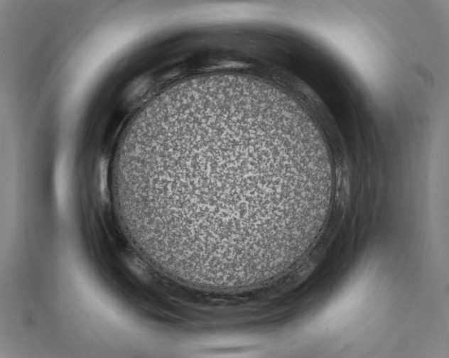 X0000111421439200908101047
