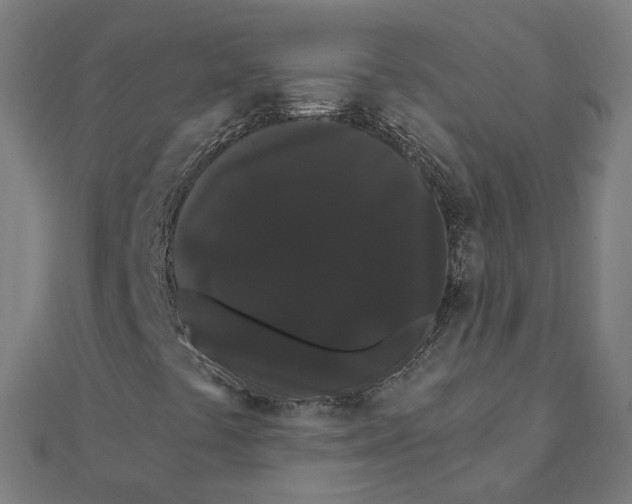 X0000111421441200908101046