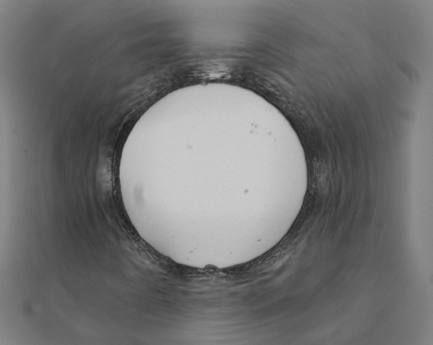 X0000111421442200908101046