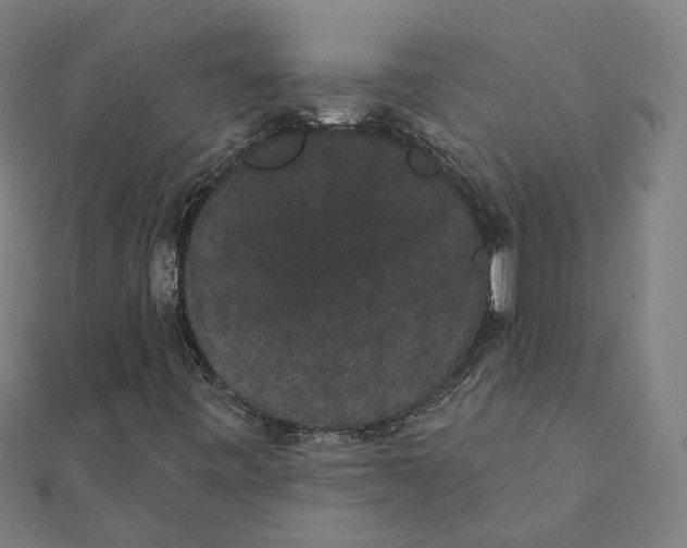 X0000111421443200908101046