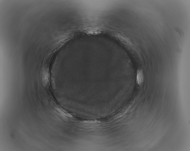 X0000111421444200908101046