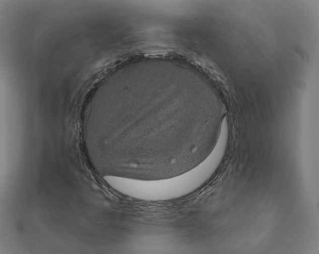 X0000111421445200908101046