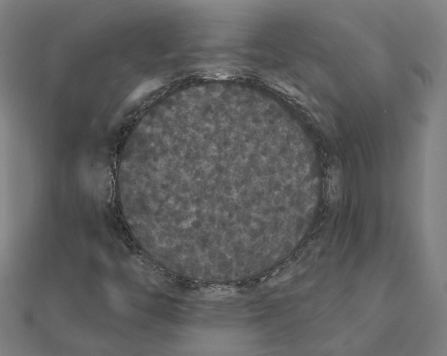 X0000111421446200908101046