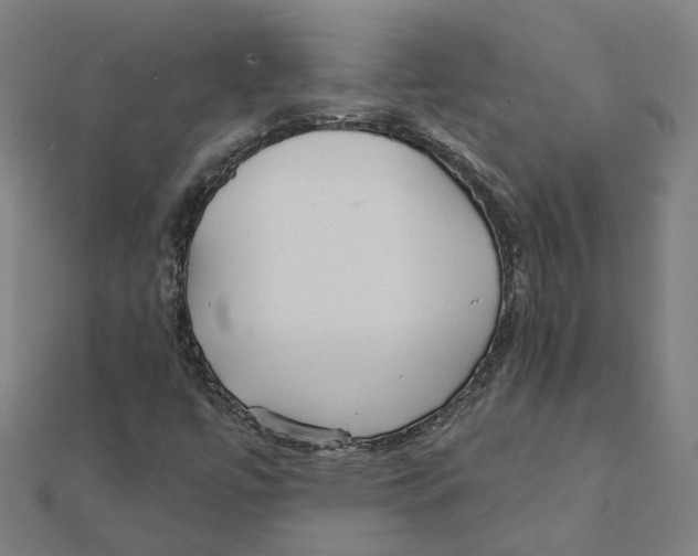 X0000111421447200908101046