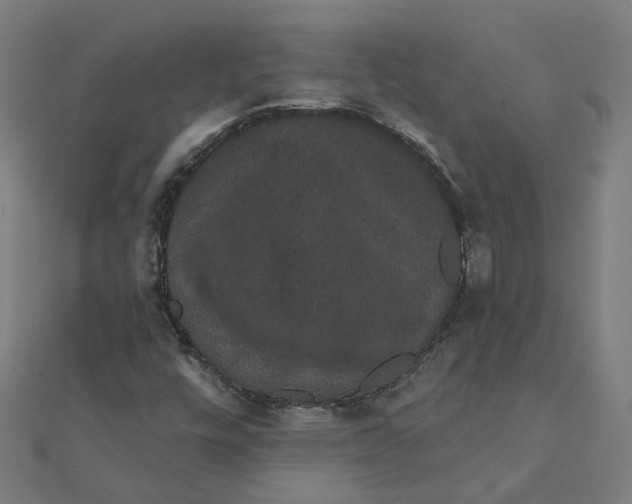 X0000111421448200908101046