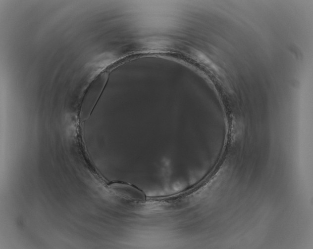 X0000111421449200908101046