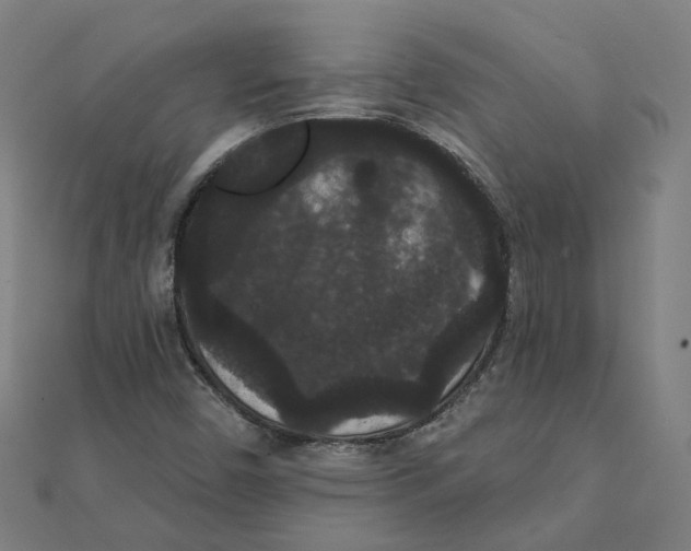 X0000111421450200908101046