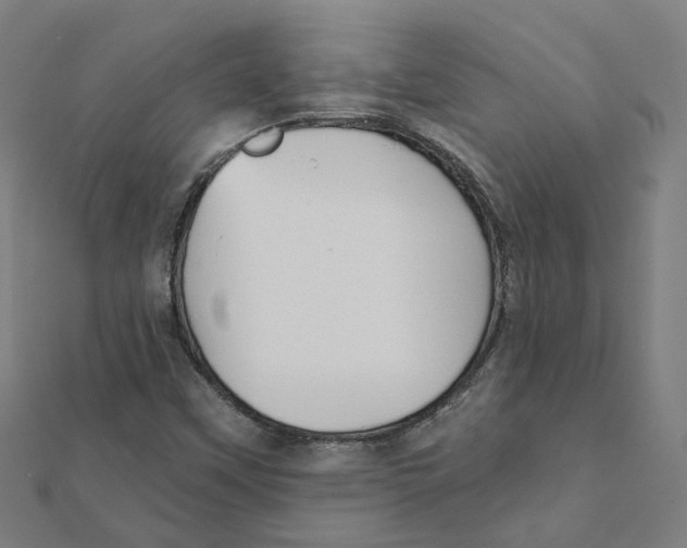X0000111421451200908101046