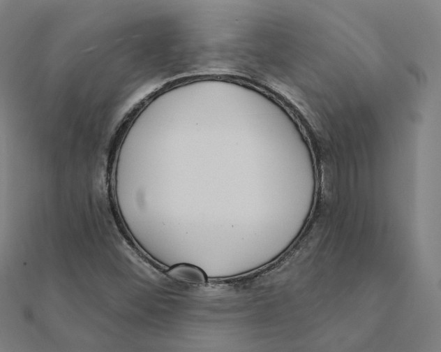 X0000111421452200908101046